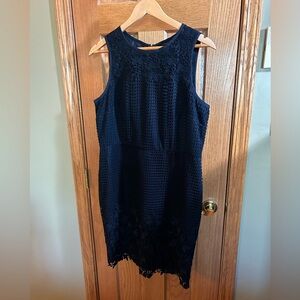 Ann Taylor Sleeveless Lace Dress
